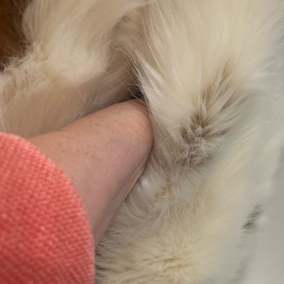 Azalea Wang size small Gorgeous Faux Fur Coat - Picture 4 of 11